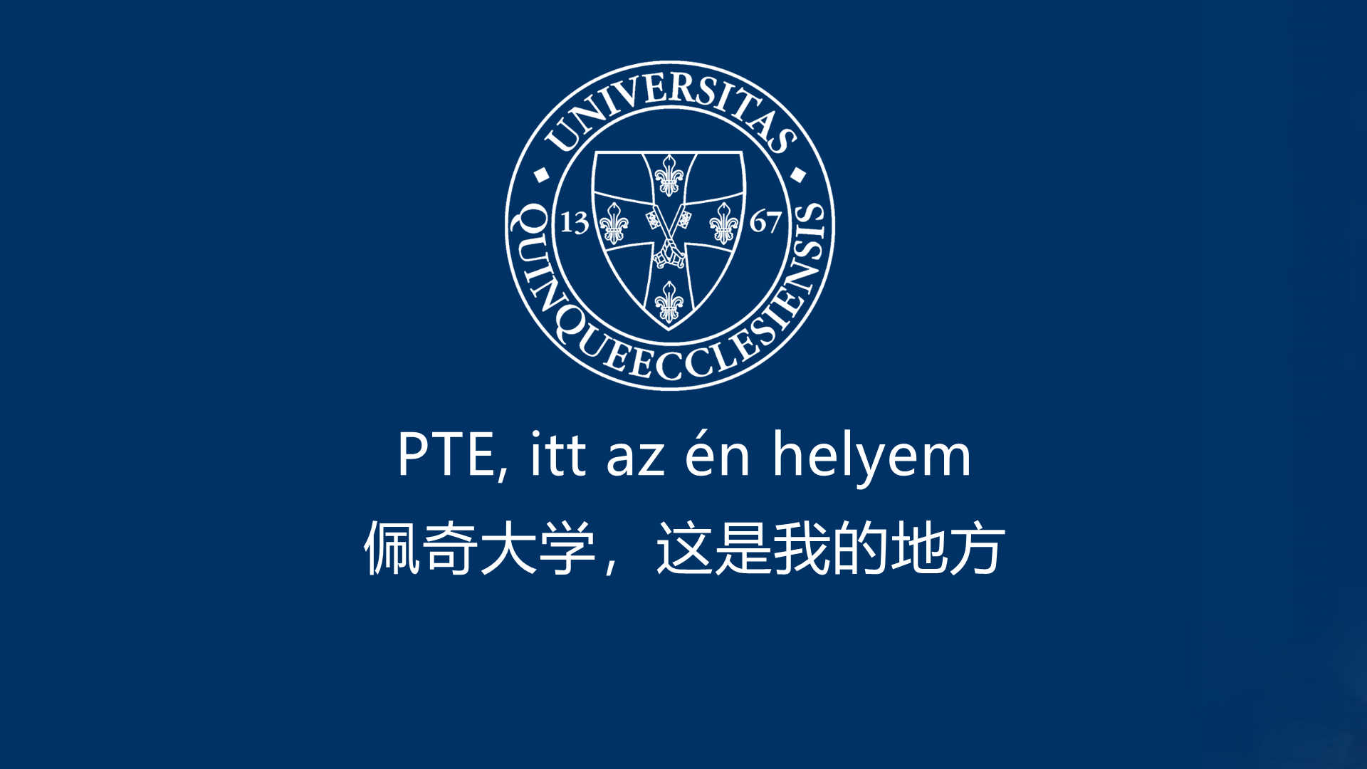 国际预科_佩奇大学_留学院校_匈牙利留学_留学匈牙利_22所大学顶级